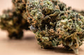 CBD Blueten – Strawberry Kush