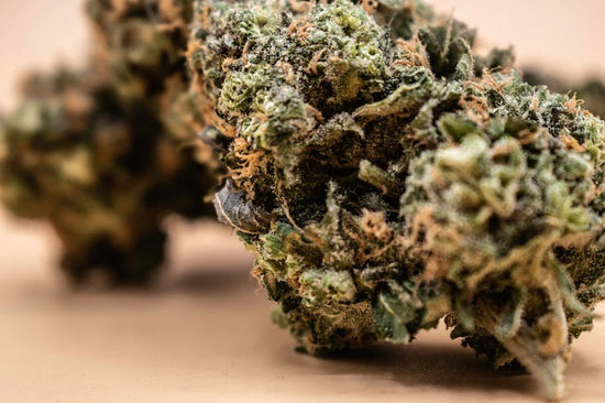 CBD Blueten – Swiss Alpine